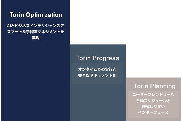 3段階の Torin ソリューション